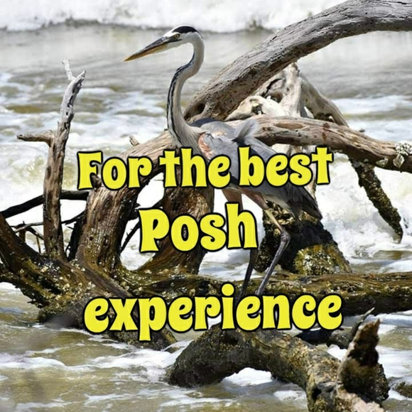 About Re-Poshing - Picture 7 of 11